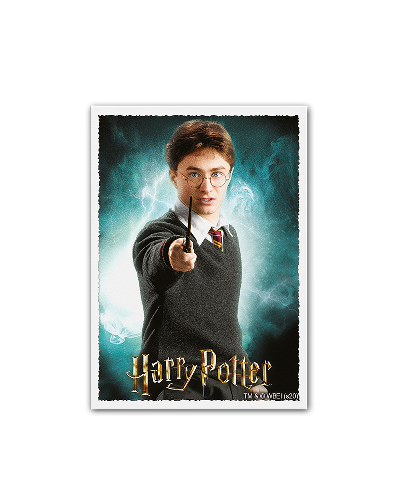 Dragon Shield - Harry Potter Harry Potter matte art sleeves