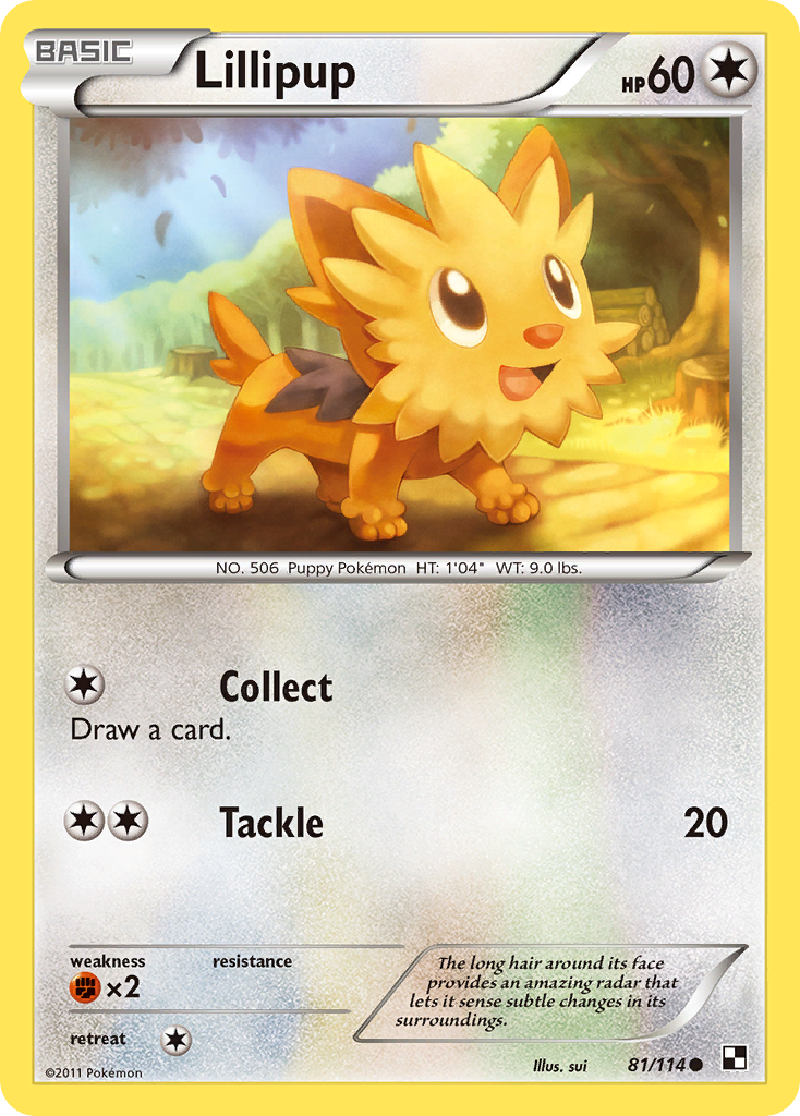 Lillipup (81/114) [Black & White: Base Set]